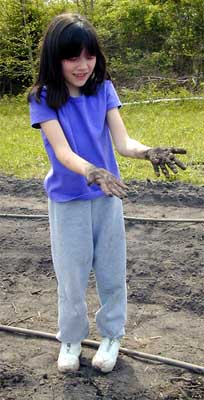 taylor_web.jpg (27508 bytes)