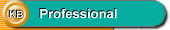 Professional Type