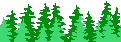 Trees Forest