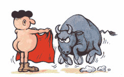 bullfighter
