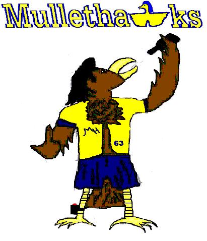 Mullethawks Logo