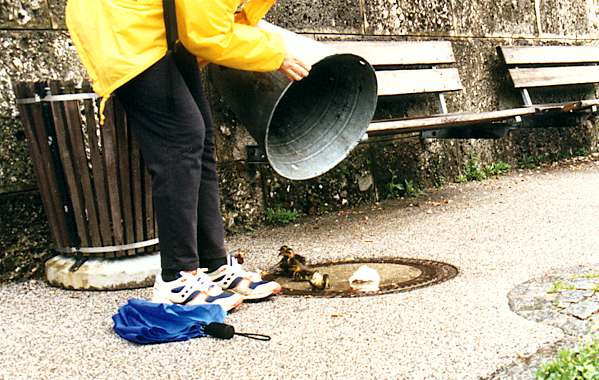Dumping the trash