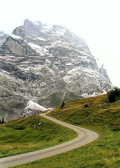 Wetterhorn 