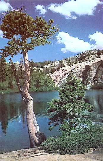 Caple Lake