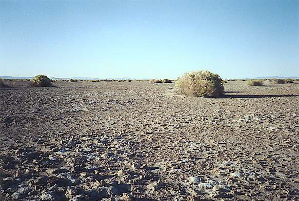 40-mile desert