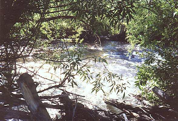 Creek in Logan canyon