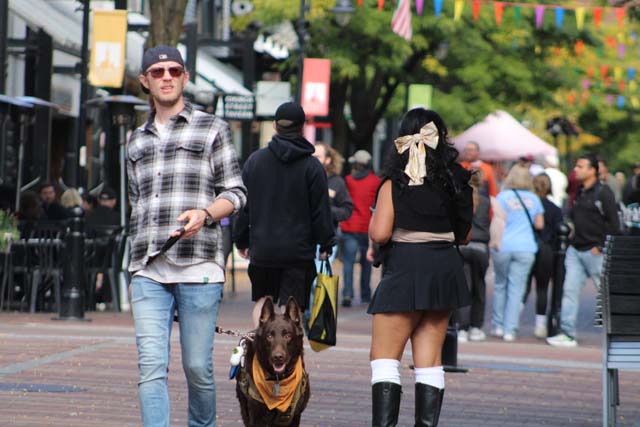 a guy walking his dog