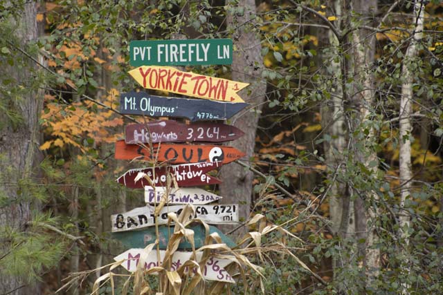 a bunch of hand painted signs