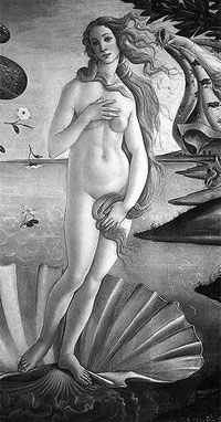 Boticelli's Venus