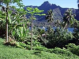 Another view Southwest from Fare Iti