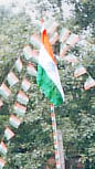 The freedom we strive for - National Flag