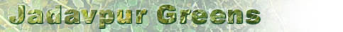 Jadavpur Greens by Parivesh Suraksha Committee
