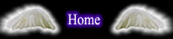 Click to go to the Homepage...
