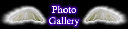 Check out the Photo Gallery...