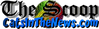 Click to go to Cats in the News.Com....