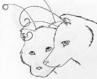 Lifebonded Pair