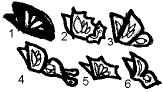 wing type