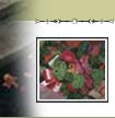 Look through our album!
