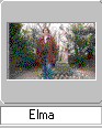 elma_s.gif (2822 bytes)