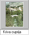 kriva_cuprija_s.gif (3214 bytes)