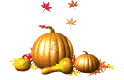 Pumpkin