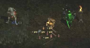 Treasure-hunting in the Great Marsh