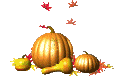 Fall