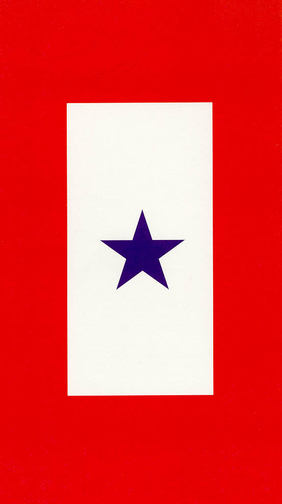US Armed Forces Service Flag