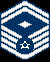 First Senior Master Sergeant