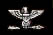 Colonel