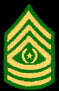 Command Sergeant Major