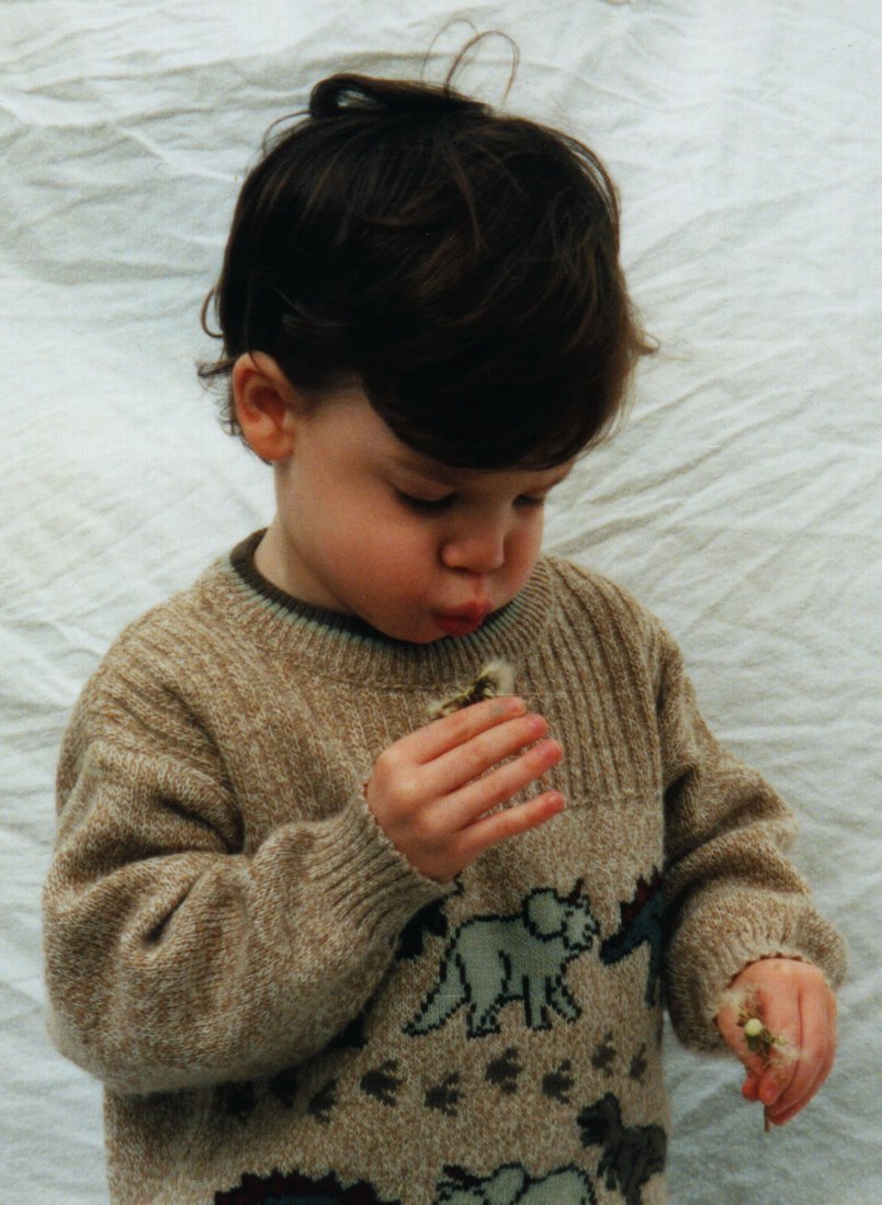Fun with Dandelions