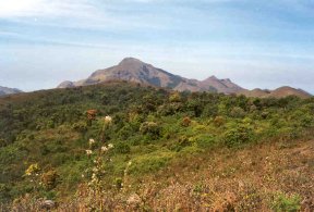 H&ouml;chster Berggipfel in Coorg