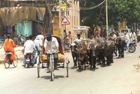 Stra&szlig;e in Bijapur