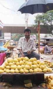 Mango-Stra&szlig;enverk&auml;ufer beim City Market