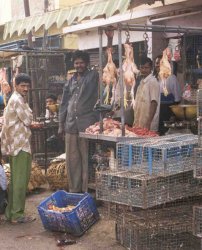 H&uuml;hnerverkauf beim Russel Market