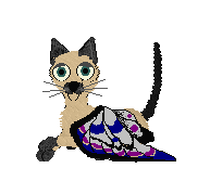 Sophylyssa the Butterfly Catz