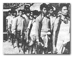 [Freedom Fighters]