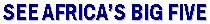 seeafrica.jpg (3994 bytes)