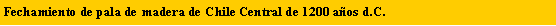 Cuadro de texto: Fechamiento de pala de madera de Chile Central de 1200 a�os d.C.