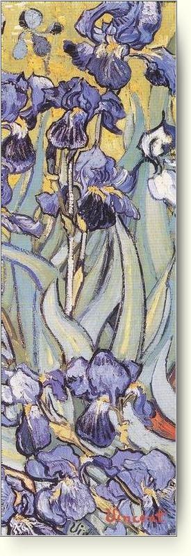 Irises por Vincent Van Gogh