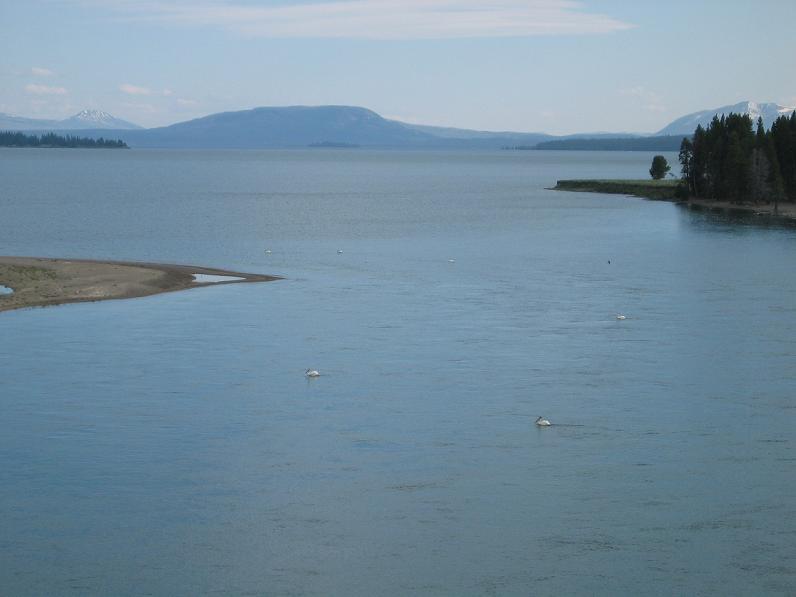 Yellowstone