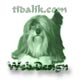 tidalik.com WebDesign