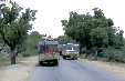 Bus 51 Kb