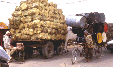 Carros 85 Kb