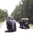 Taxi 40Kb