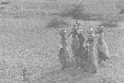 Aguadoras 80 Kb