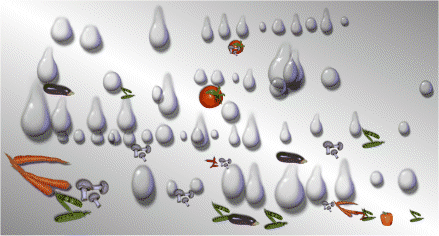 Veggie Raindrops