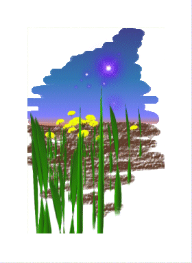 Grass & Stars
