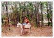 Clique para Ampliar